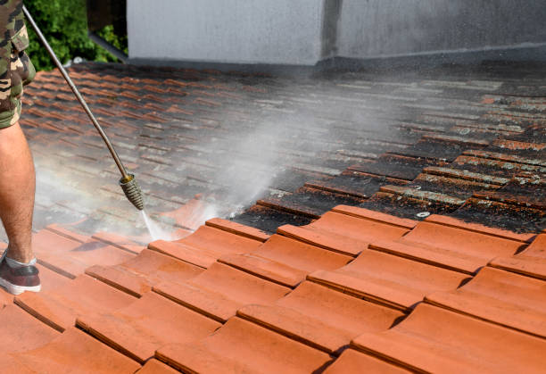 Best Best Pressure Washing Companies  in Lebanon, KY